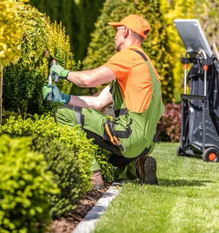 Jardinage à Marrakech : Plantes et Entretien Adaptés au Climat